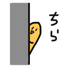 23507156