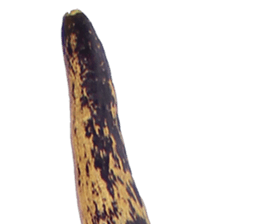 235179110
