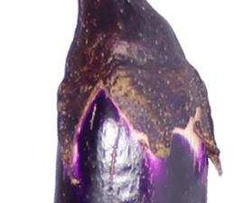 235179117