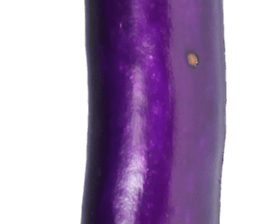 235179127