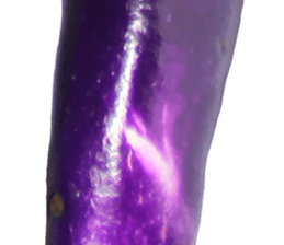 235179143