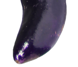 235179146