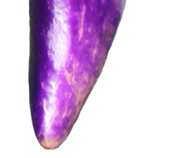 235179147