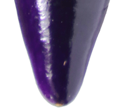 235179149