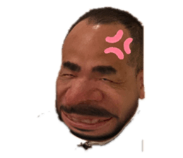 235233500