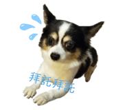 235263759