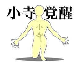 23531374