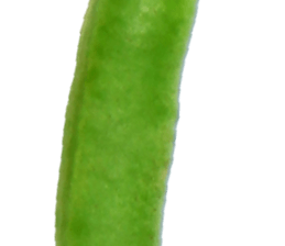 235334018