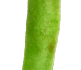 235334032