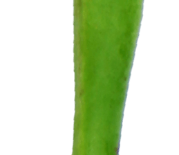 235334034