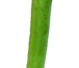 235334038