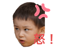 235403013