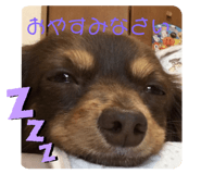235403017