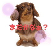 235403026