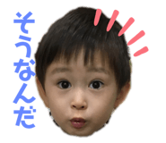 235403035