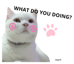 235446818