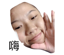 235483633