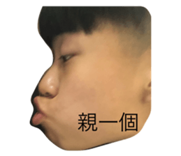 235483639