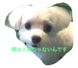 23548696