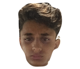 23551717