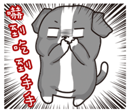 23551941