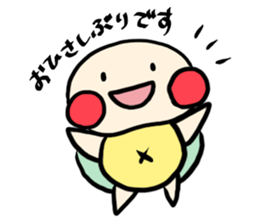 23553331