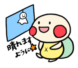 23553362