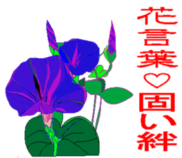 23554176