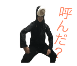 23555317