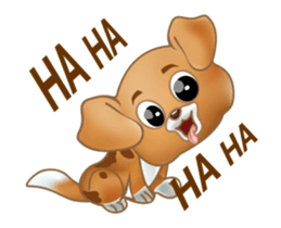 235555595