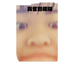 235555961