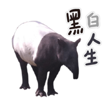 235592009