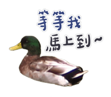 235592012
