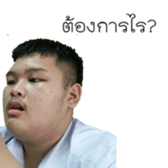 235633723