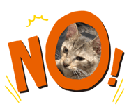 235640423