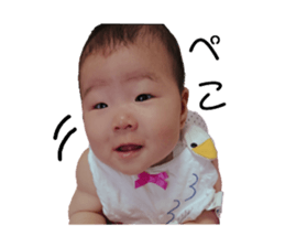 235679050