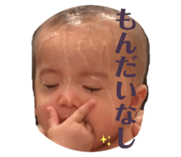 235681728