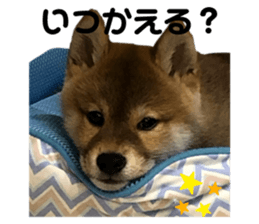 235681797