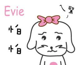 235692381