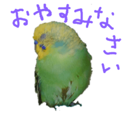 235703078