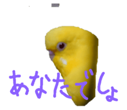 235703084