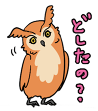 2357687