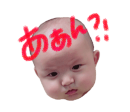 23580435