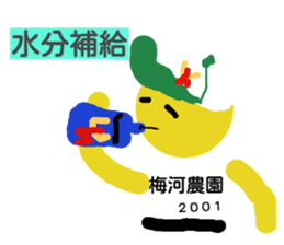 23585981