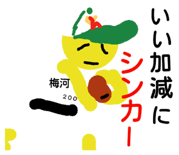 23586004