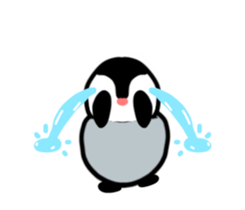 23588244