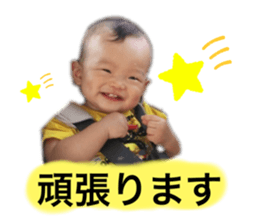 235977762