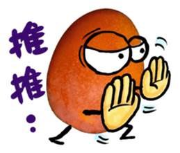 236017037