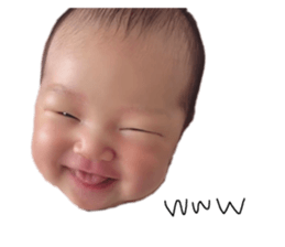236036431
