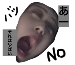 236046630